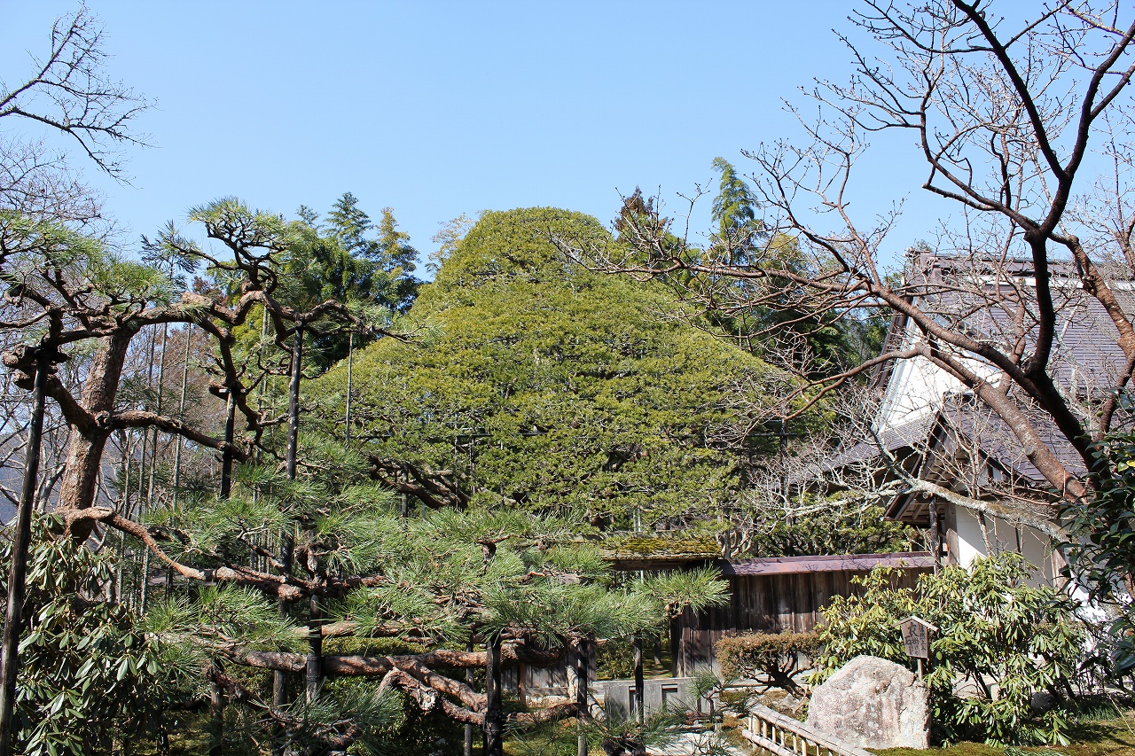 京都　大原宝泉院